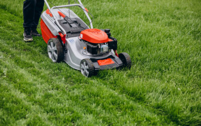 When is the Right Time to Cut Your Grass for Summer?